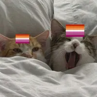 girls lesbians 🧡🤍🩷