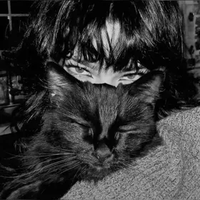 ᯓBlack 𖤐 Whisker