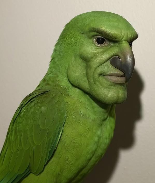𝕸𝖆𝖙𝖆𝖌𝖆𝖑