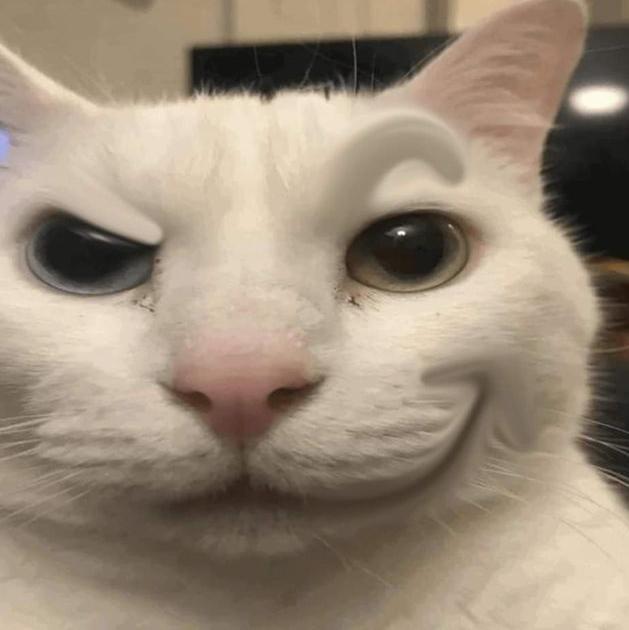 ๐ฎ๐๐๐ ๐๐ ๐ฏ๐๐๐๐๐