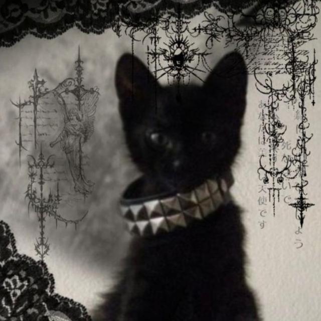 Logo do grupo ✧N∅VA EЯA✧(Sem Lei)