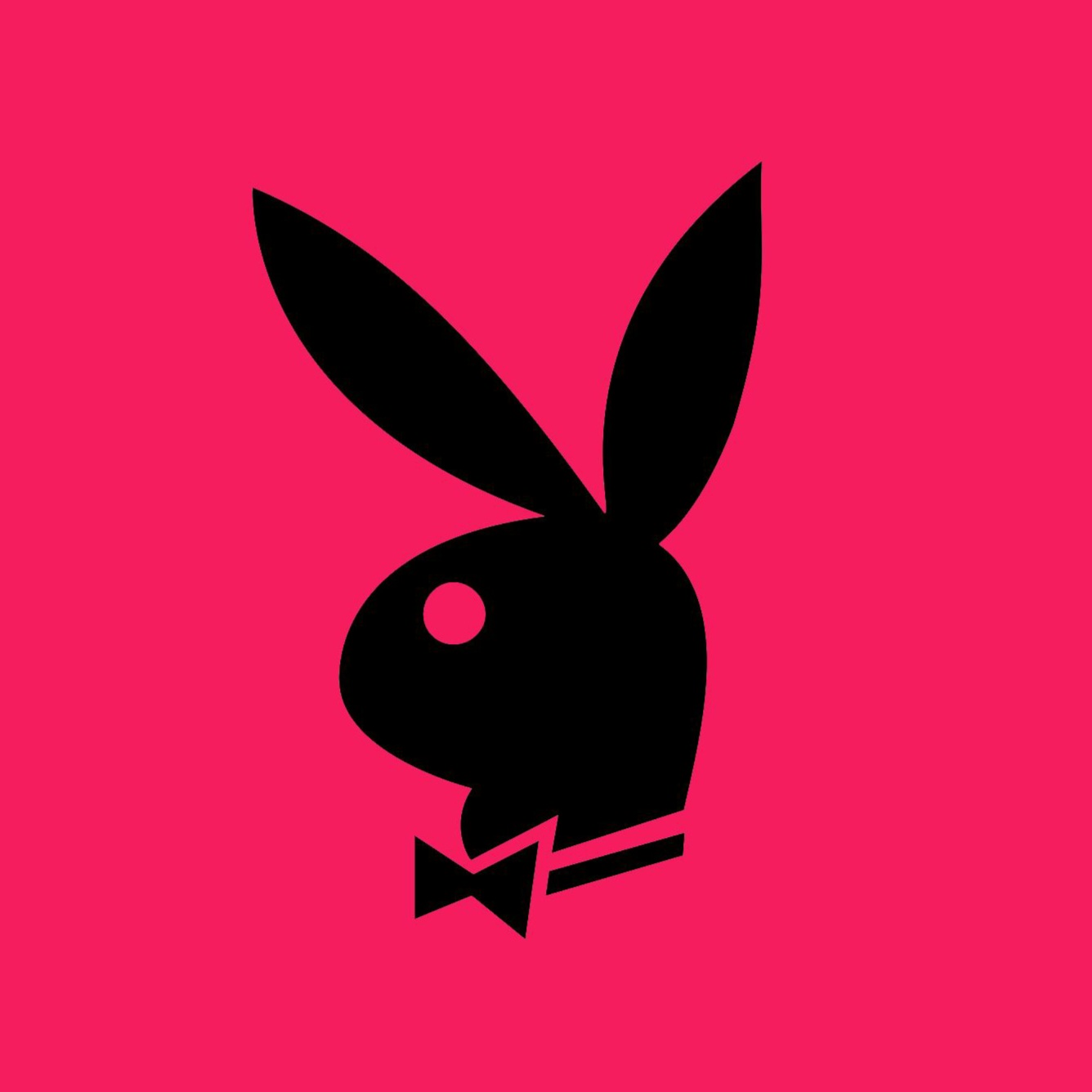 𝕆𝕟𝕝𝕪ℕ𝕚𝕘𝕙𝕥'𝕤 - A Vitrine do Prazer 🔥🥵