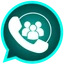 Grupos de WhatsApp